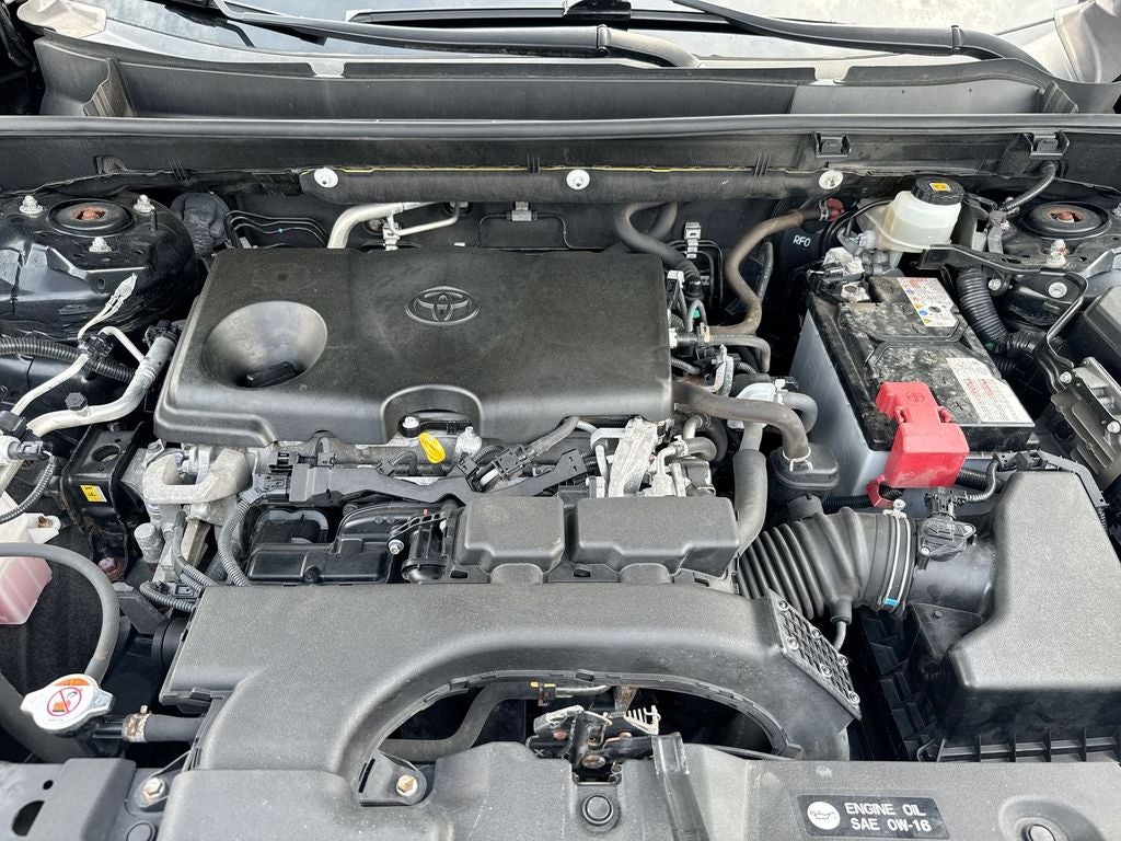 2019 Toyota RAV4 LE