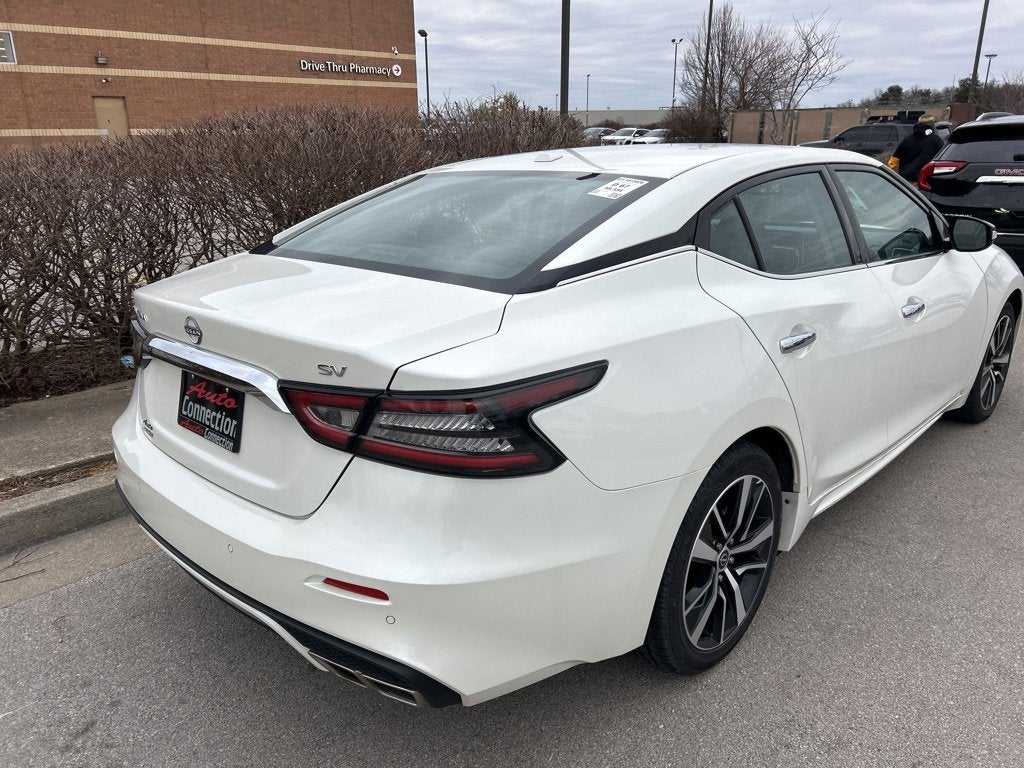 2023 Nissan Maxima SV