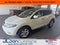 2010 Nissan Murano SL