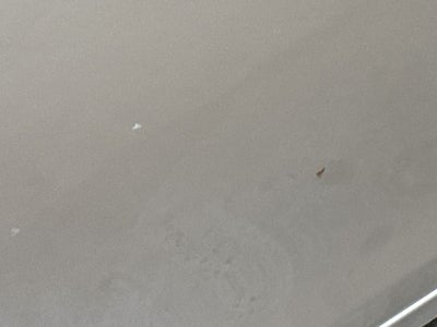 2007 Toyota Camry Hybrid Base
