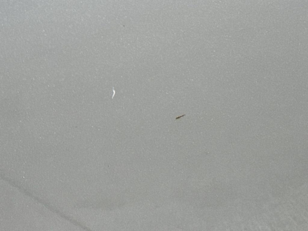 2013 Honda Civic Sdn LX