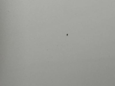 2010 Ford Explorer Limited