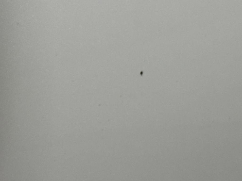 2010 Ford Explorer Limited