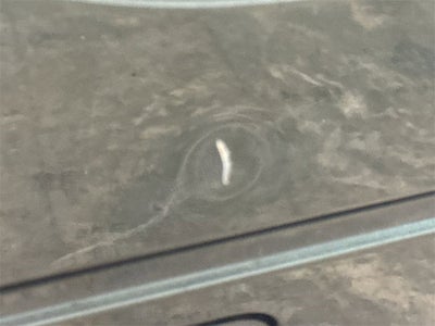 2016 Ford Super Duty F-250 SRW XLT