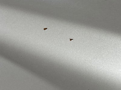 2008 GMC Sierra 1500 SLE1