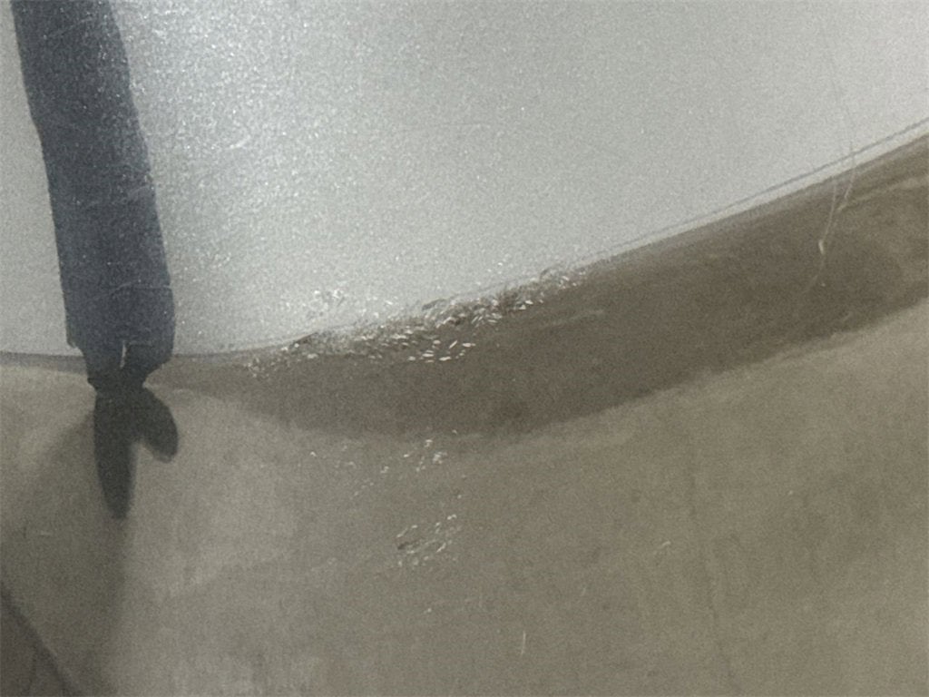 2006 Honda Accord Sdn EX-L V6