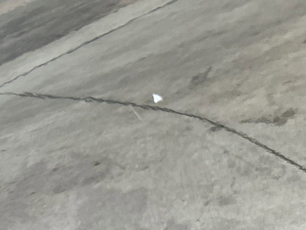 2021 Honda Accord Sedan Sport