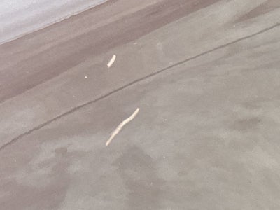 1998 Toyota Avalon XL