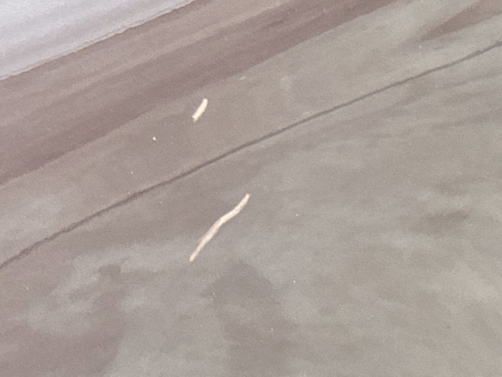 1998 Toyota Avalon XL