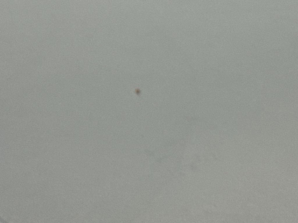 2016 Toyota Sienna LE AAS