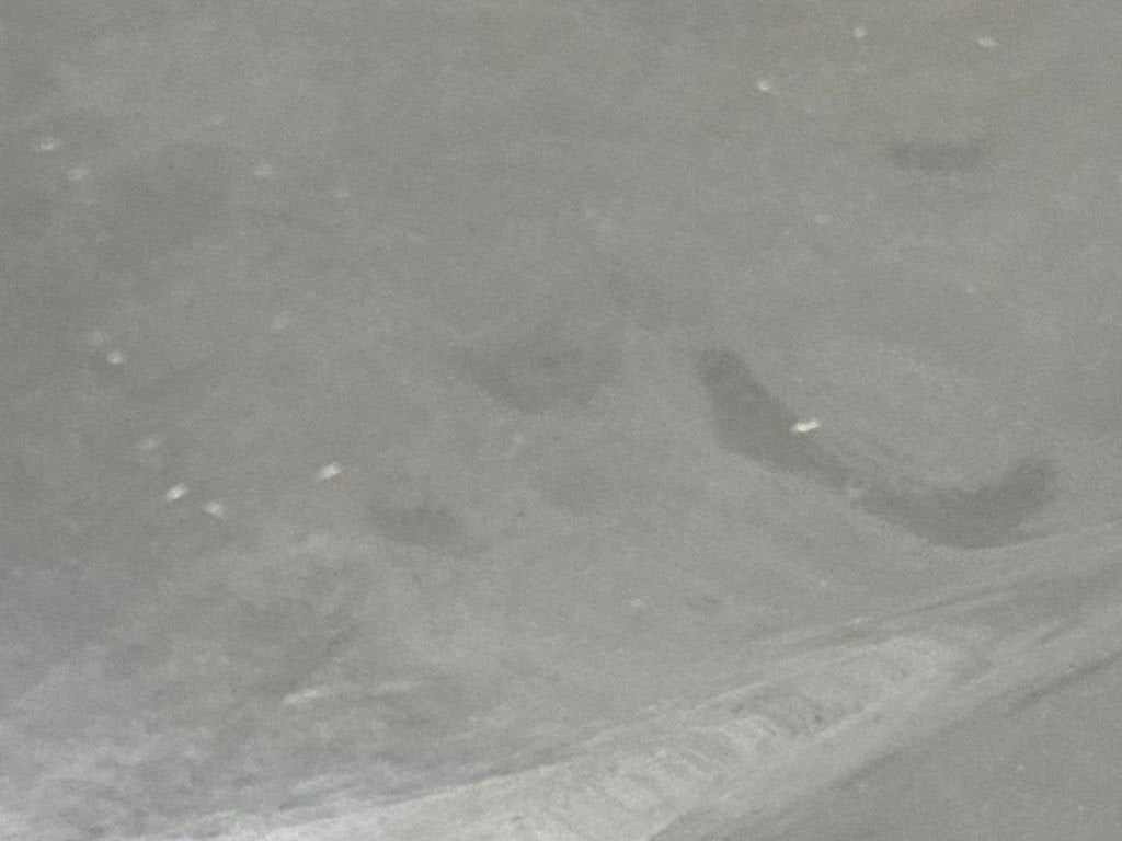 2010 Toyota 4Runner Trail