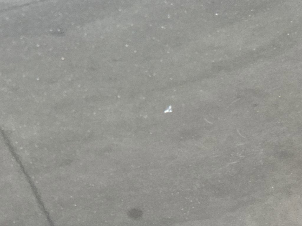 2010 Toyota 4Runner Trail