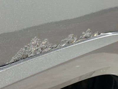 2010 Toyota 4Runner Trail