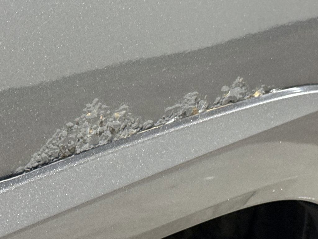 2010 Toyota 4Runner Trail