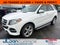 2017 Mercedes-Benz GLE GLE 350