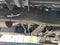2001 Lincoln Navigator Base