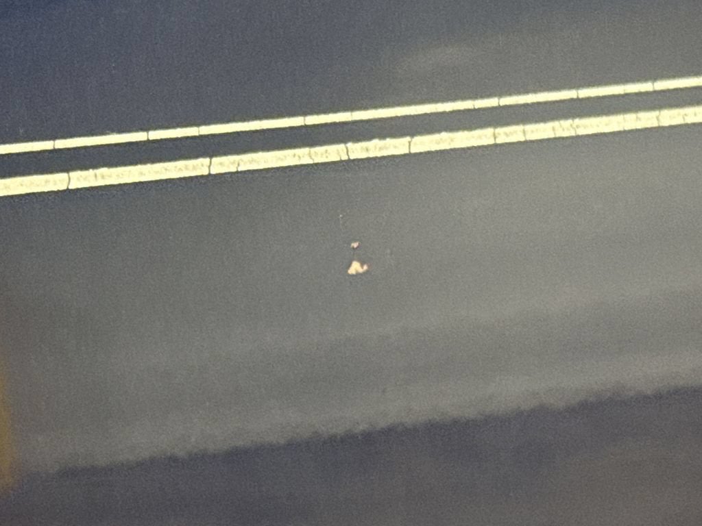 2009 Ford F-150 STX