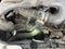 2017 Ford Transit Van T-250 148" Low Rf 9000 GVWR Sliding RH Dr