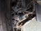 2006 Saturn Ion ION 2 4dr Sdn Auto