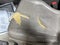 2001 Honda Accord Sdn EX w/Leather